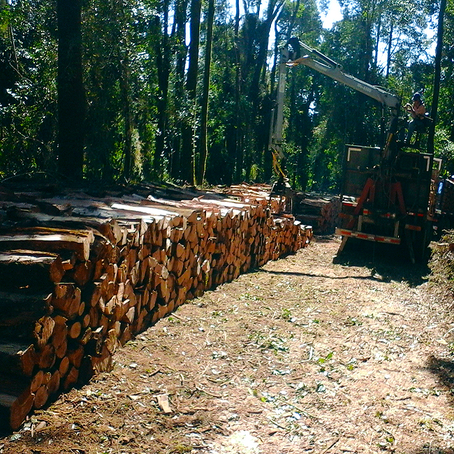 MADERA SELECCIONADA